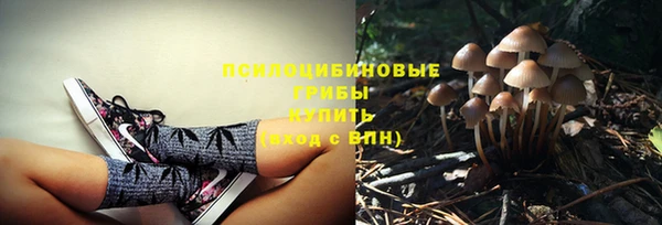 таблы Дмитровск
