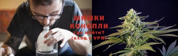 хмурый Осинники