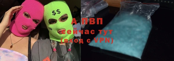 винт Дмитриев