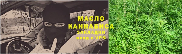 хмурый Осинники