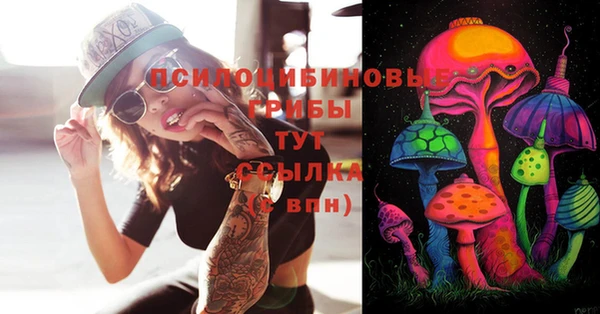 хмурый Осинники