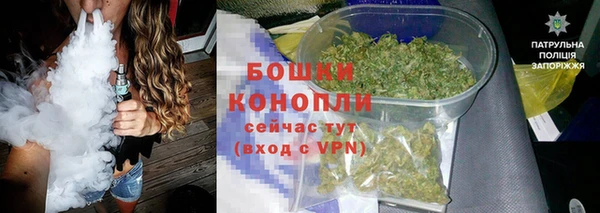 винт Дмитриев
