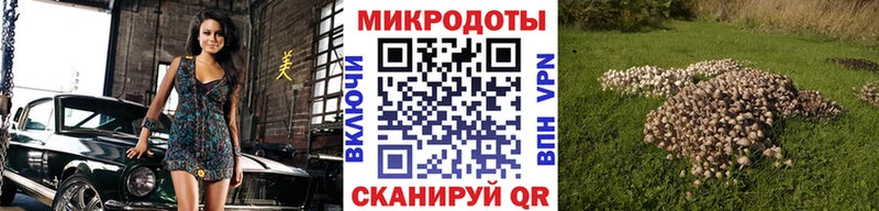 Псилоцибиновые грибы прущие грибы Пущино